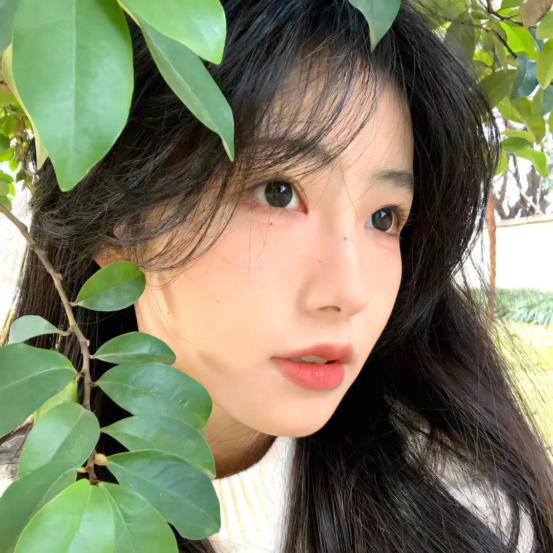 一笑倾国